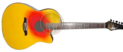 Jon Bon Jovi miniture guitar acoustic