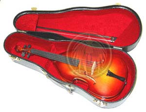 Hard case for miniature violin perfect for display