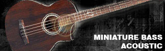 Miniature Bass Acoustic 