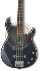 Miniature bass Michael Anthony Van Hallen